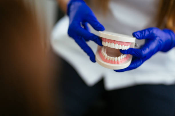 Trusted Grangeville, ID Holistic Dental Care Services Experts